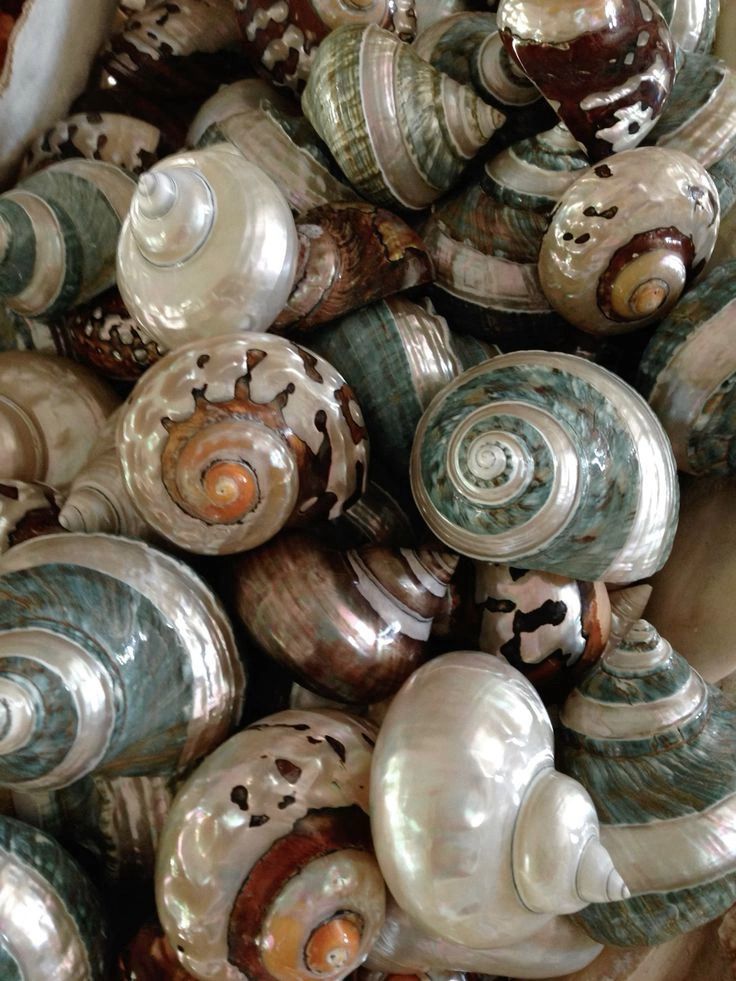Watch: Professor John Dyson's inaugural lecture at the University of Birmingham – 'In search of treasure and redemption'